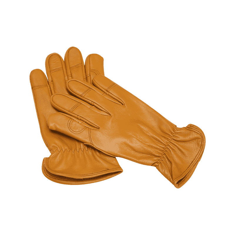 Lámhainní Tiomána Goatskin