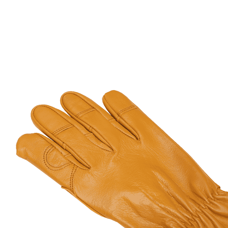 Lámhainní Tiomána Goatskin